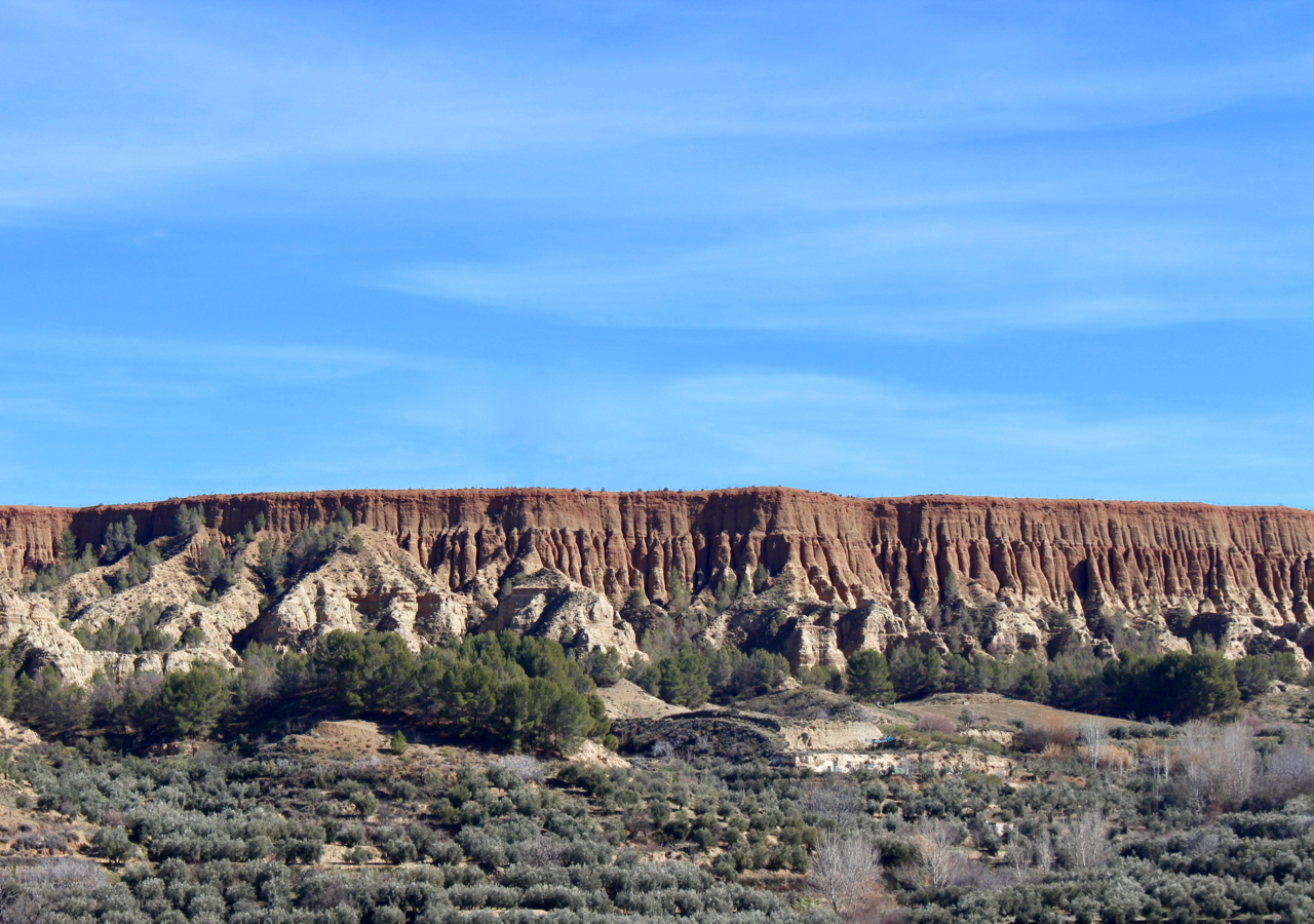 Cárcavas de Marchal