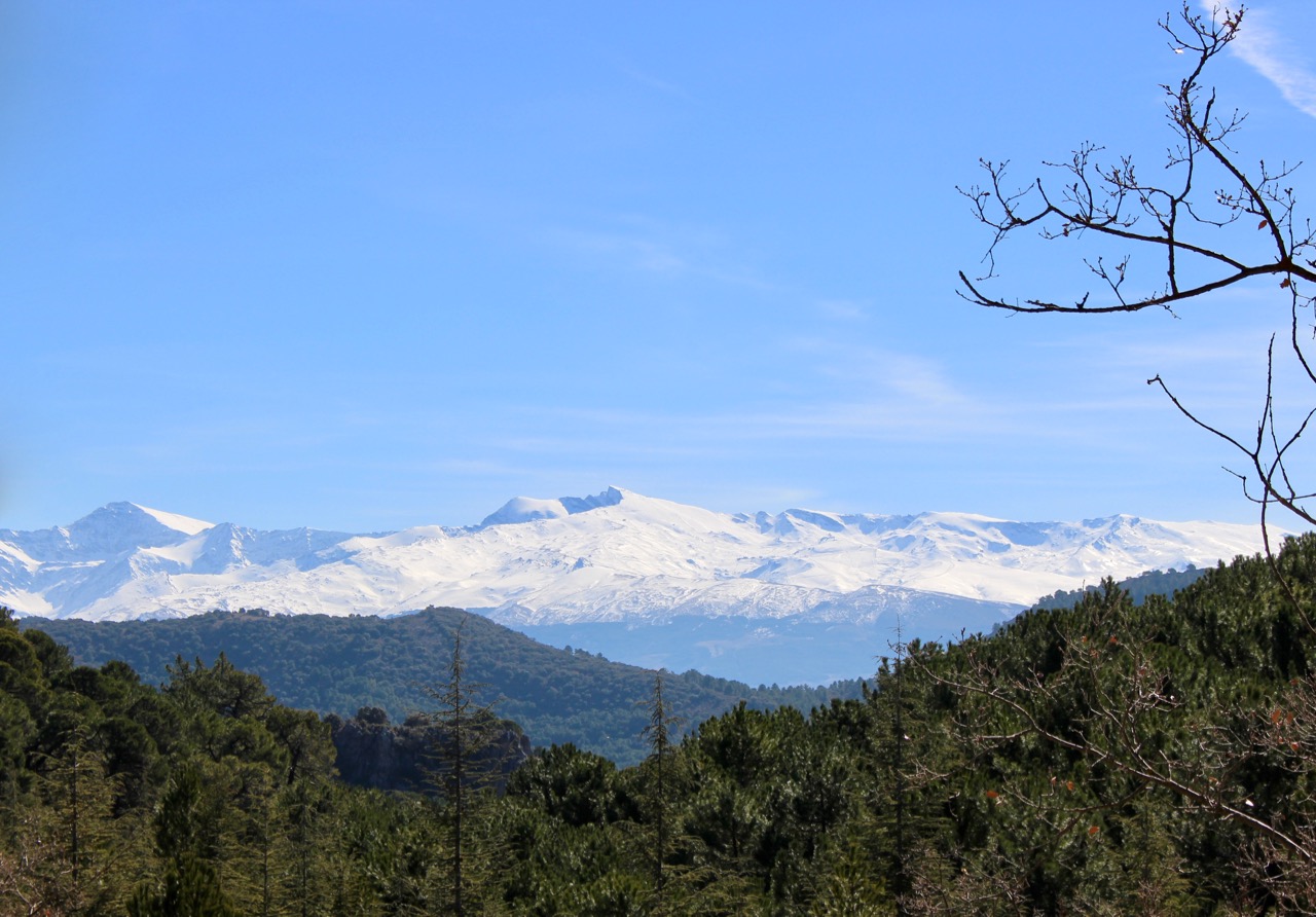 Mulhacén und Veleta