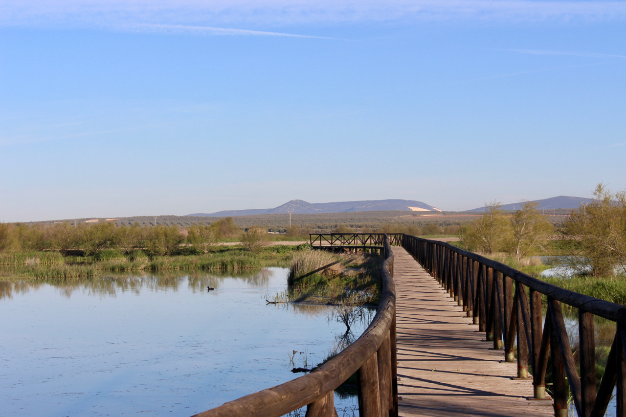 Holzbrücke bei der Lagune Fuente de Piedra