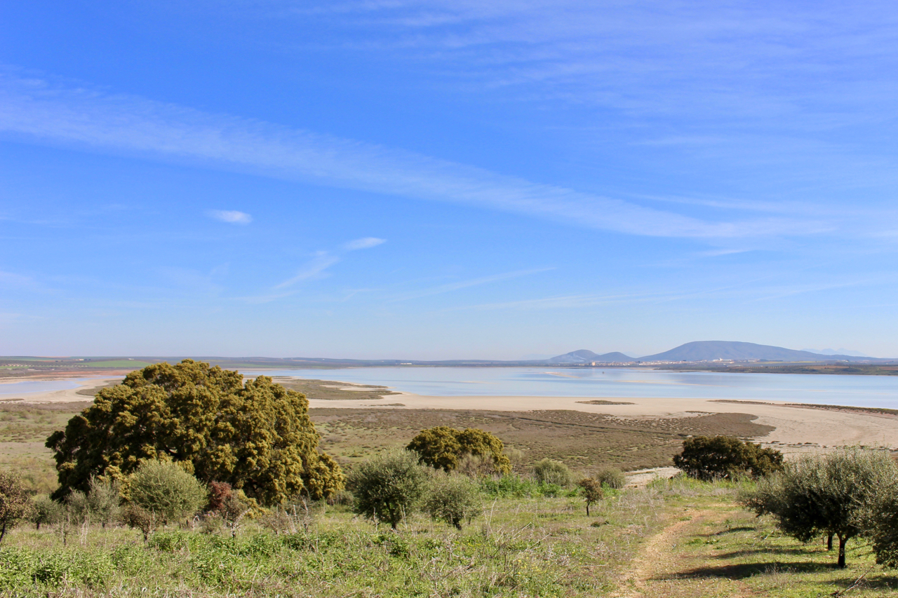 Aussichtspunkt De Las Latas bei der Lagune Fuente de Piedra