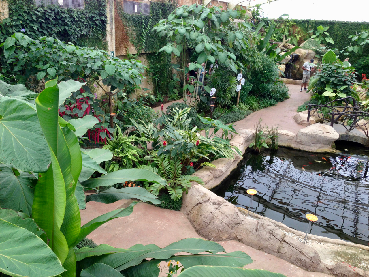 Innenraum im Mariposario von Benalmádena