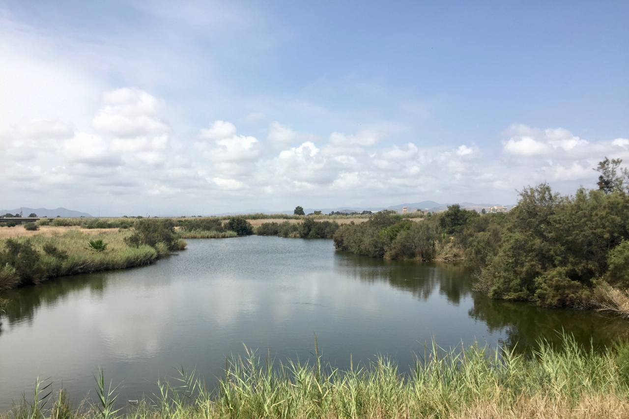 Lagune im Mündungsgebiet des Río Guadalhorce