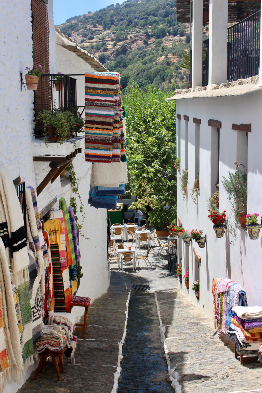 Eine Gasse am Hautplatz von Pampaneira