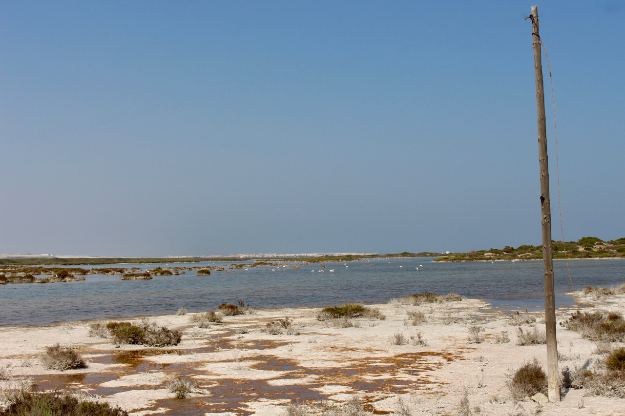 Maschland an der Punta Entinas-Sabinar