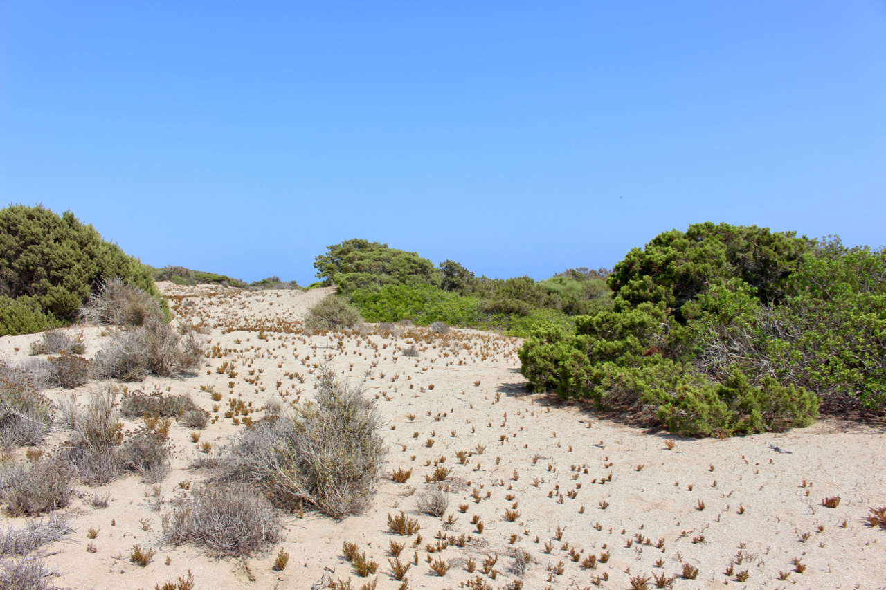 Dünenlandschaft der Punta Entinas-Sabinar