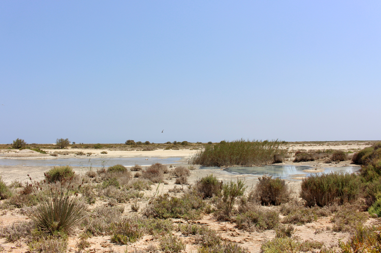 Salina an der Punta Entinas-Sabinar