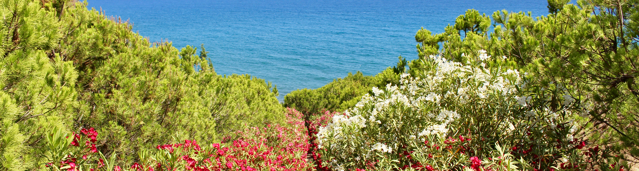 Parque Mediterráneo in Almuñécar