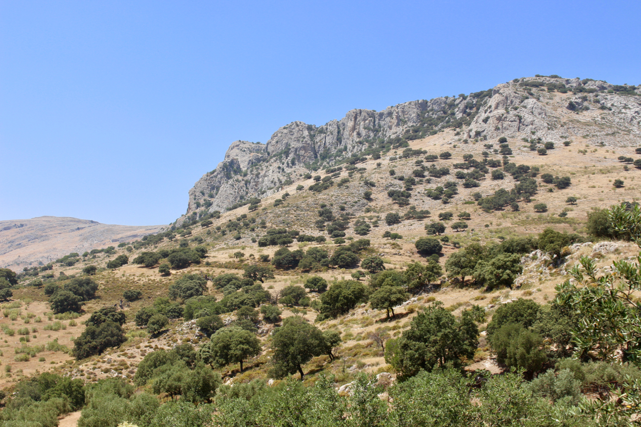 Im nördlichen Teil des Naturparks Sierras Subbéticas